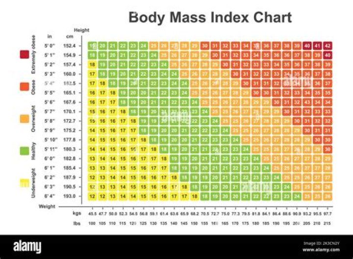 BMI Calculator | Find Your Body Mass Index