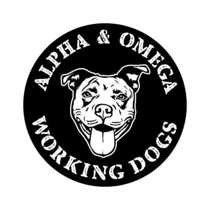 Dog Training: Animal Experts Debunk the Alpha-Dog Myth