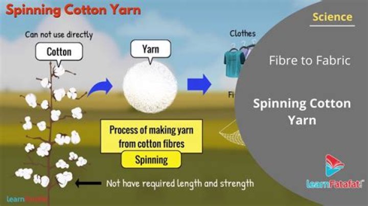 Science: Cotton-Picker - TIME