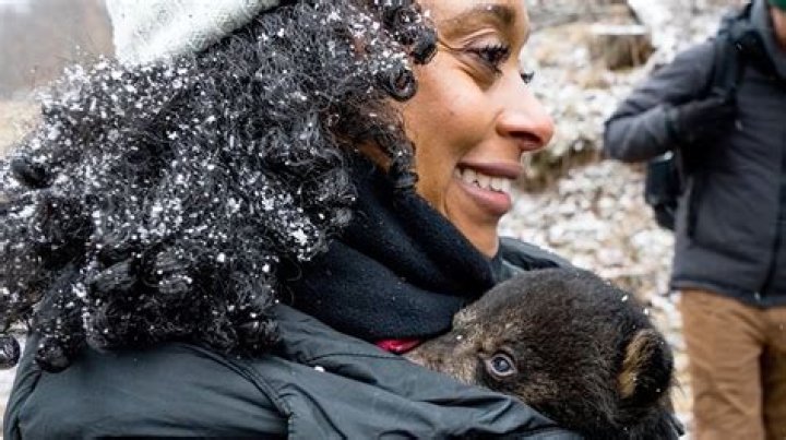 Visiting a bear's winter den with bear scientist Rae Wynn-Grant