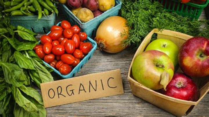 What Is Organic Food? Is Organic Really Organic?
